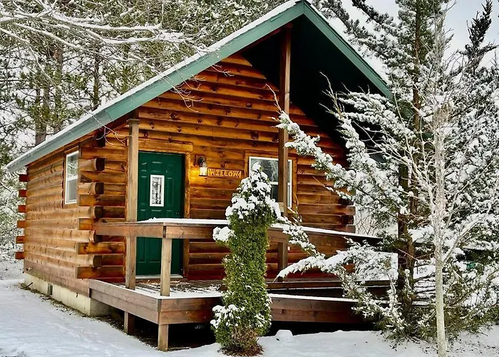 Willow Cabin